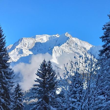 Joli Studio A St Gervais Les Bains Saint-Gervais-les-Bains Exterior foto